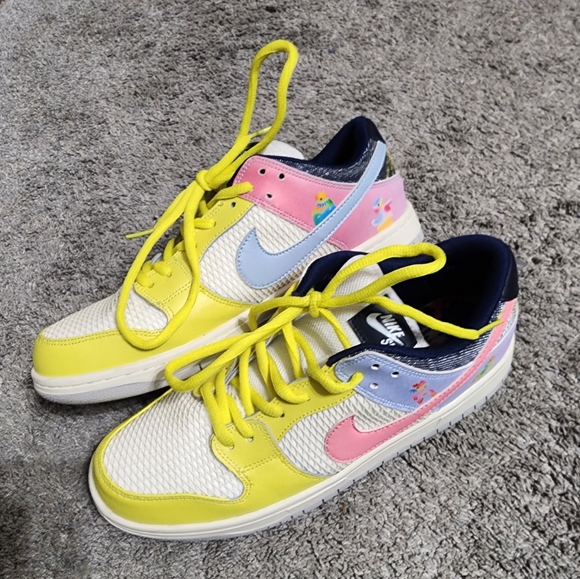 Nike Other - Nike SB Dunk Low Pro BT Size 12